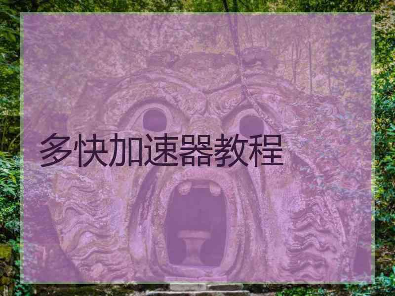 多快加速器教程
