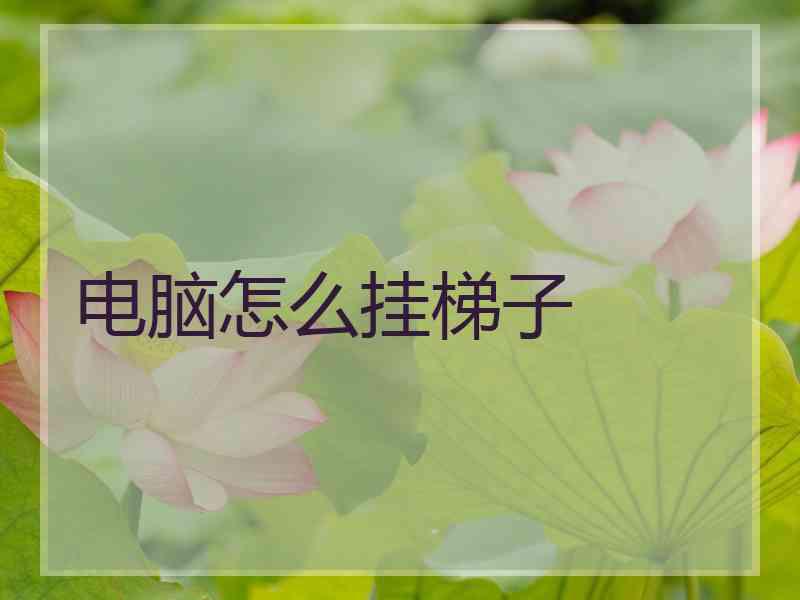 电脑怎么挂梯子