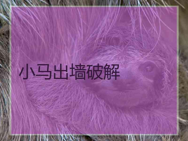 小马出墙破解