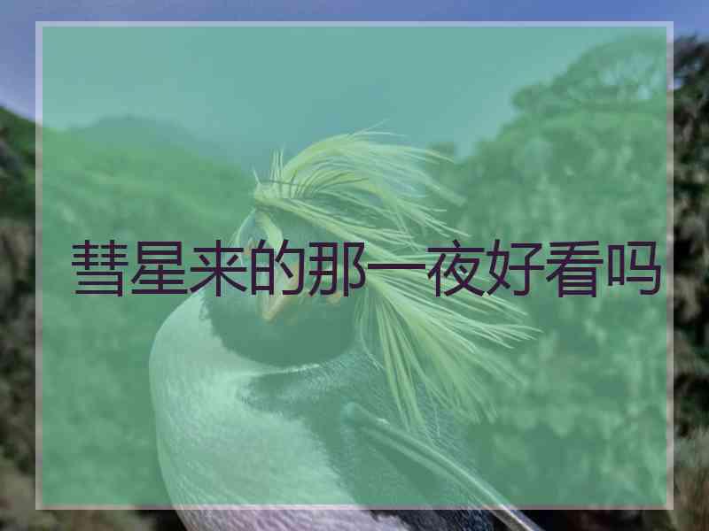彗星来的那一夜好看吗