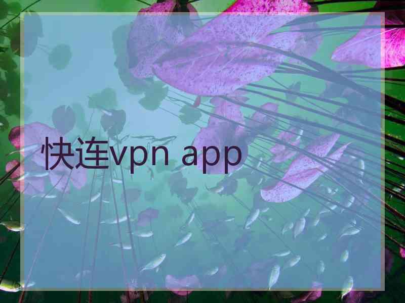 快连vpn app