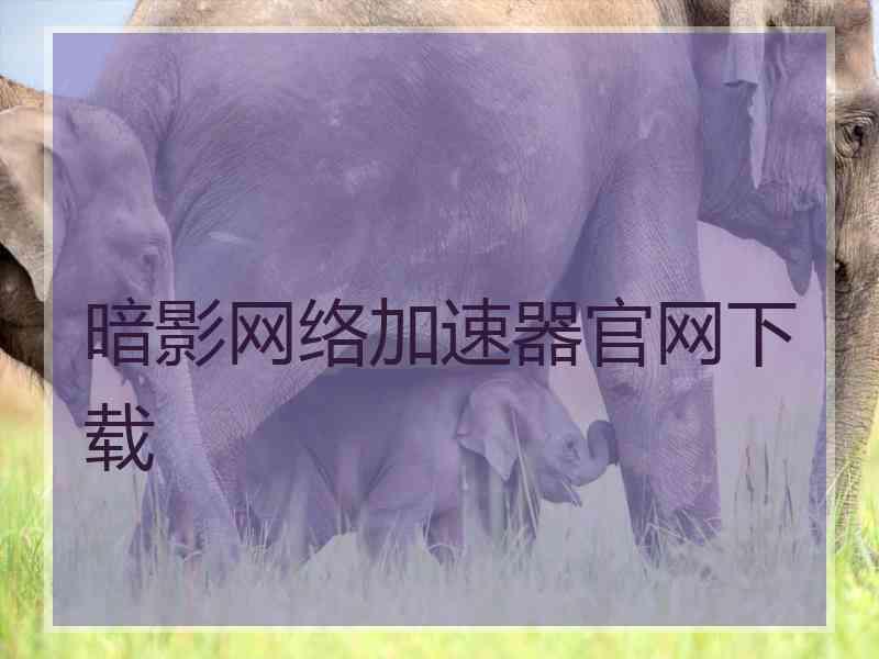 暗影网络加速器官网下载