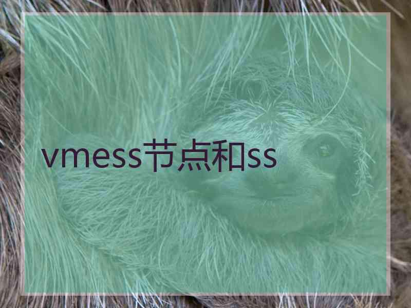 vmess节点和ss