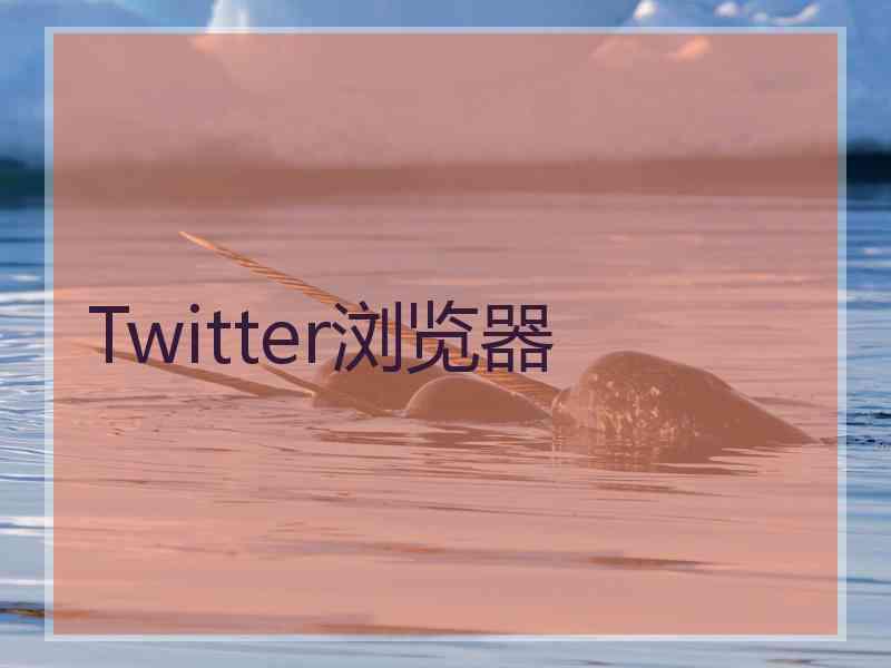 Twitter浏览器