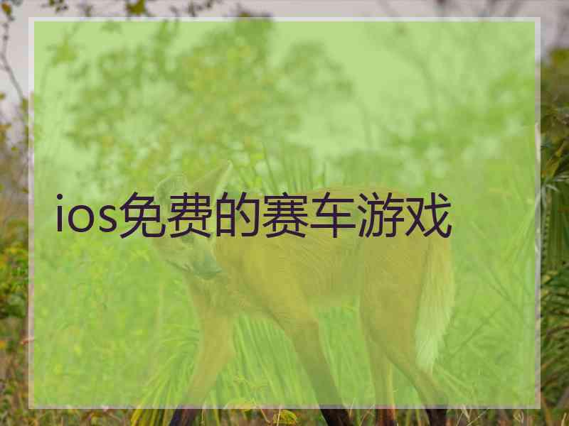 ios免费的赛车游戏