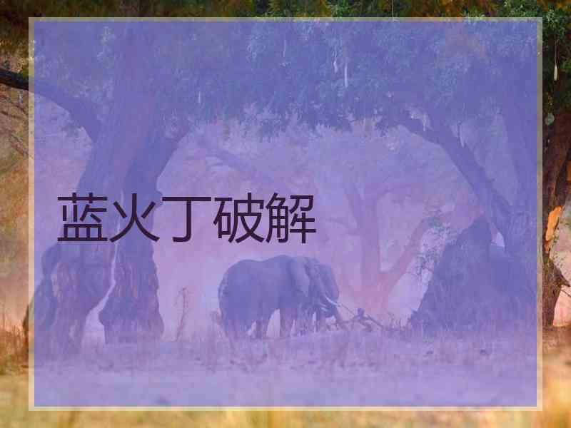 蓝火丁破解
