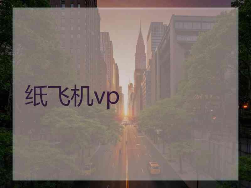 纸飞机vp