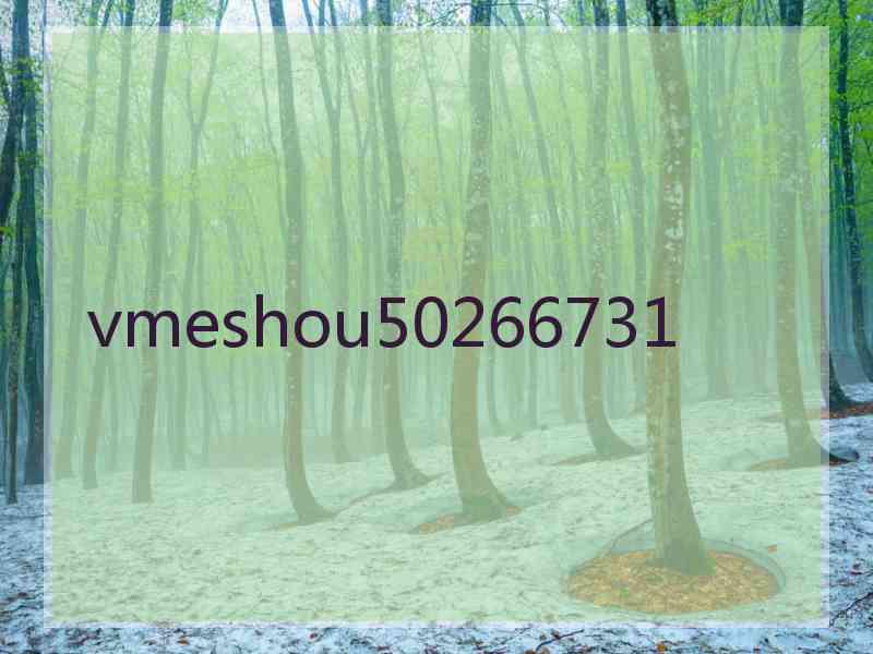 vmeshou50266731