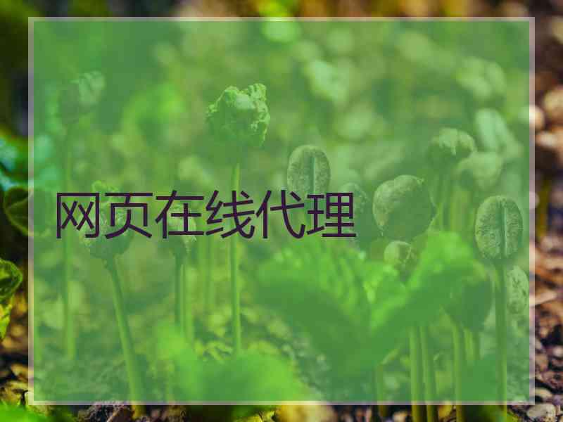 网页在线代理