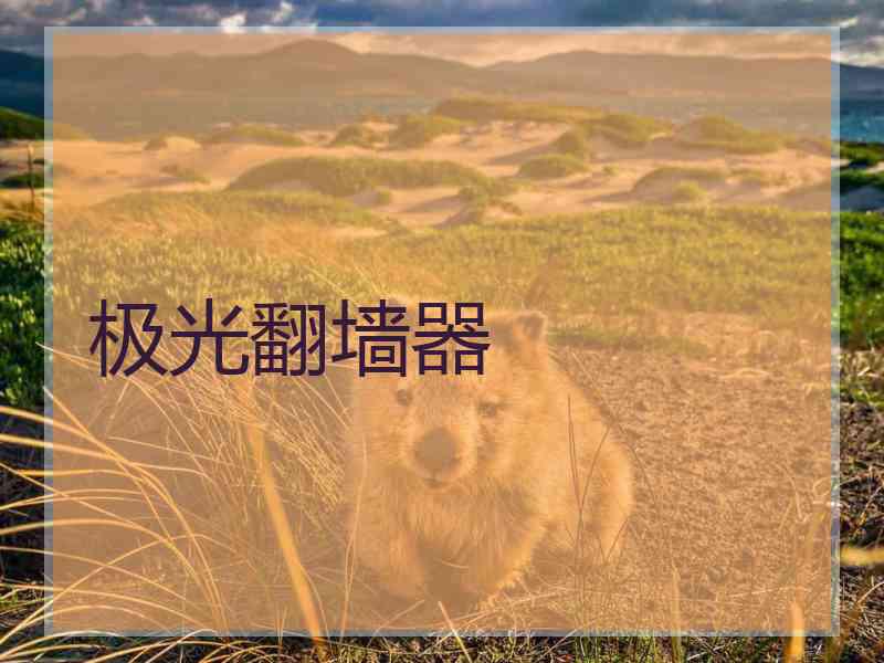 极光翻墙器