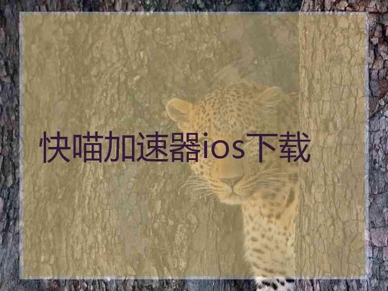快喵加速器ios下载