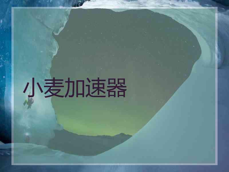 小麦加速器