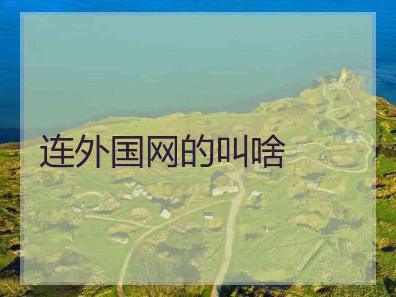 连外国网的叫啥