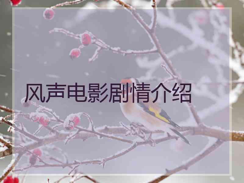 风声电影剧情介绍
