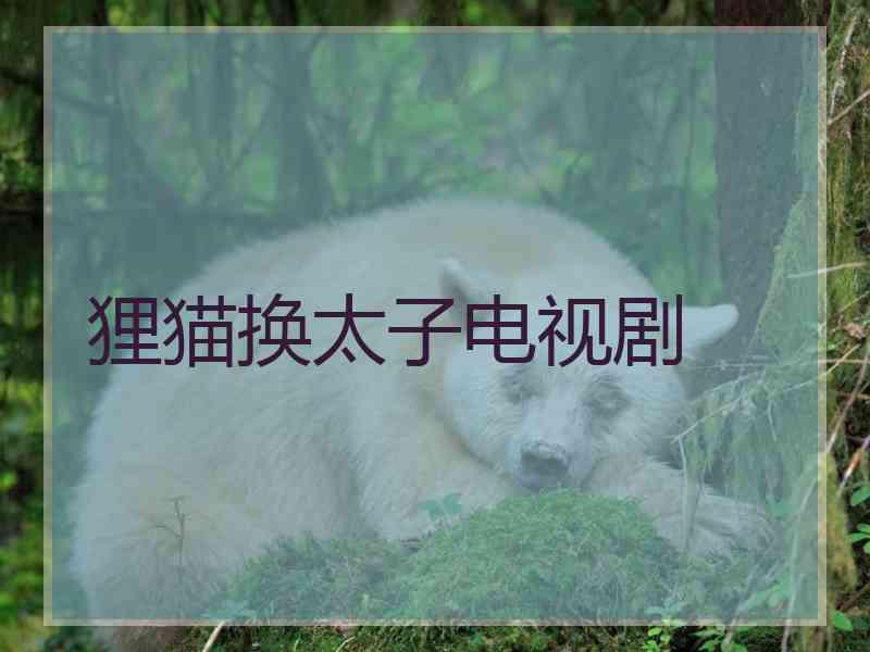 狸猫换太子电视剧