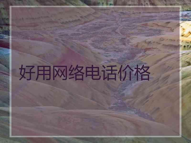好用网络电话价格