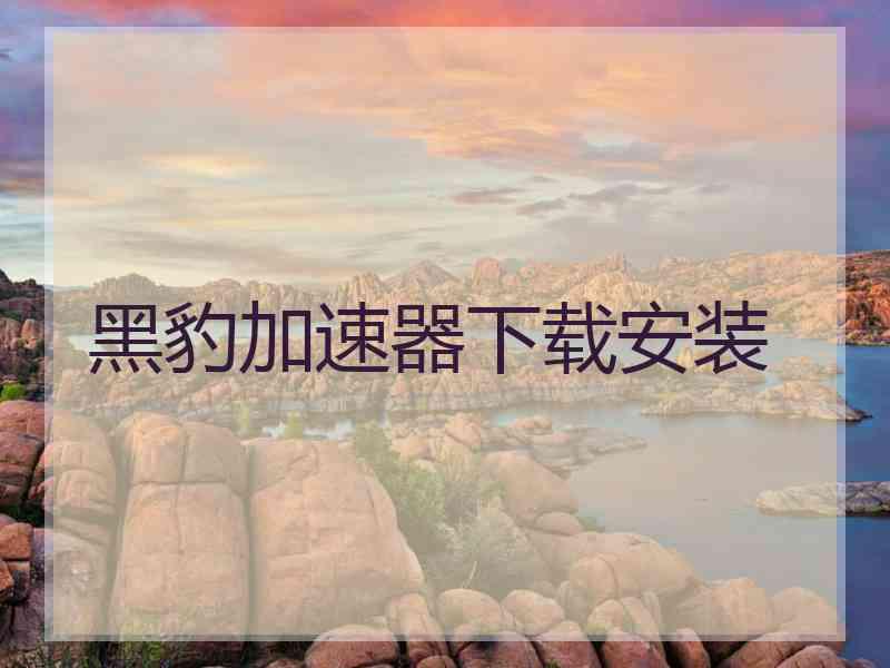 黑豹加速器下载安装