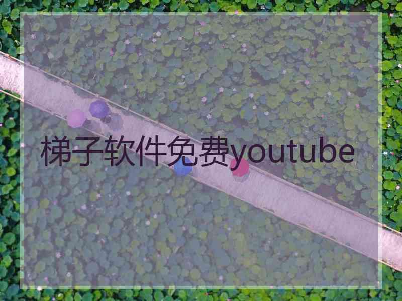 梯子软件免费youtube