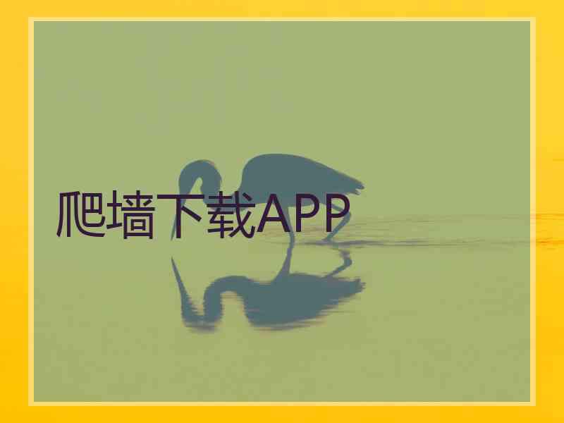 爬墙下载APP