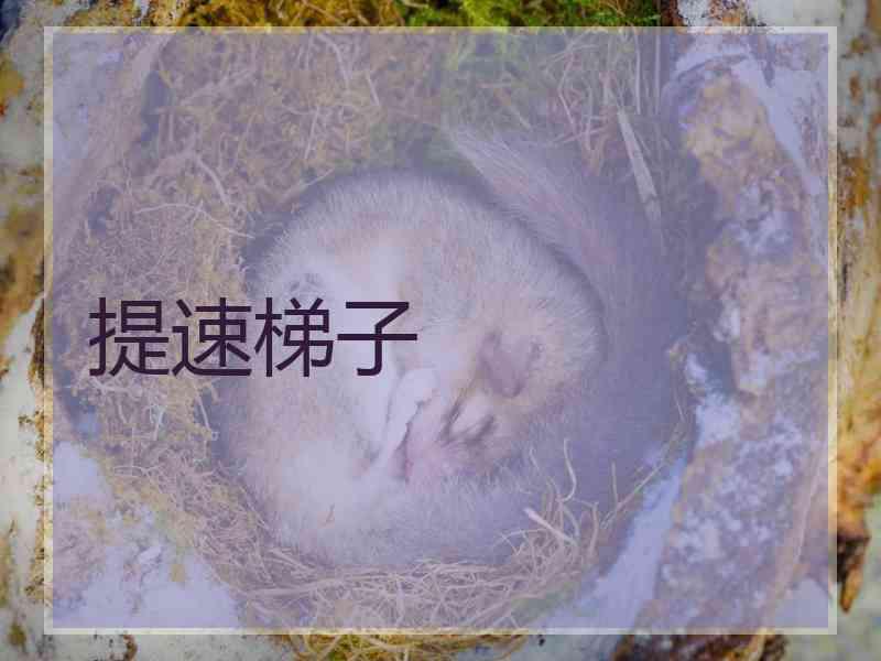 提速梯子