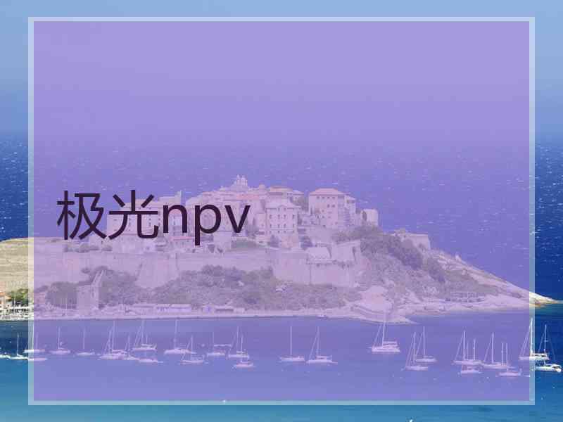 极光npv