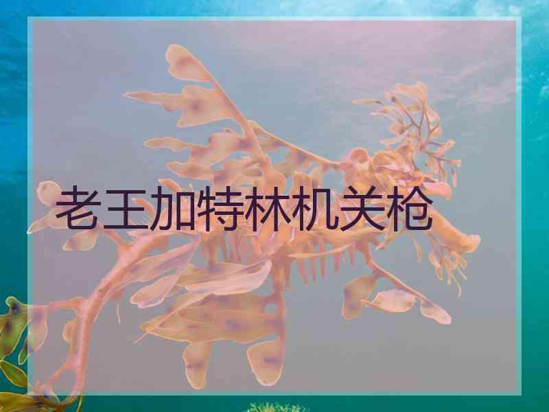 老王加特林机关枪