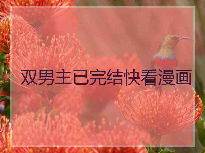 双男主已完结快看漫画