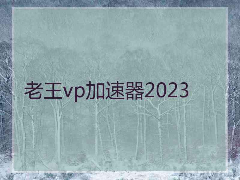 老王vp加速器2023