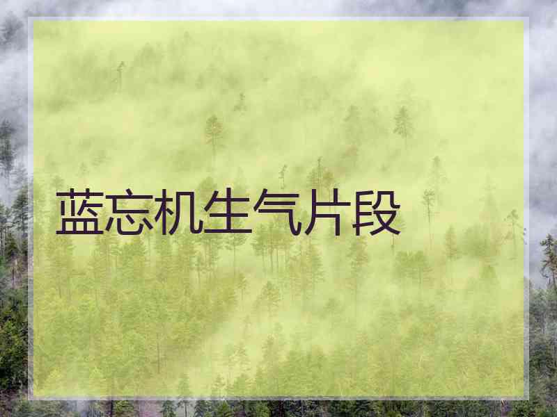 蓝忘机生气片段