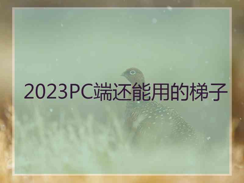 2023PC端还能用的梯子