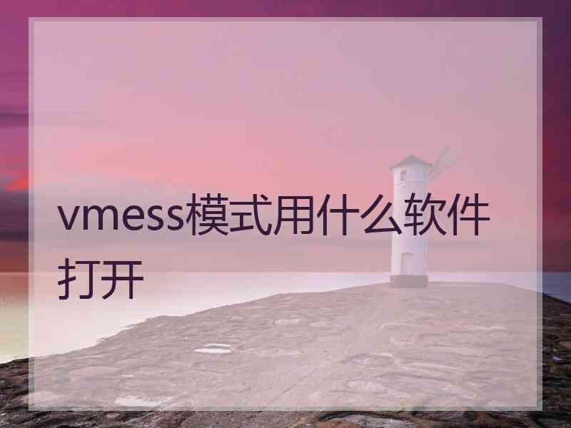 vmess模式用什么软件打开