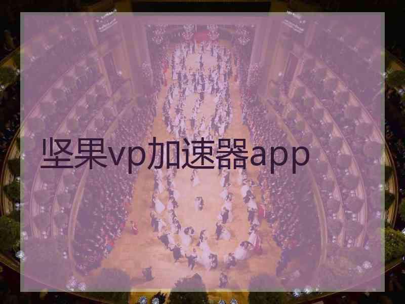 坚果vp加速器app