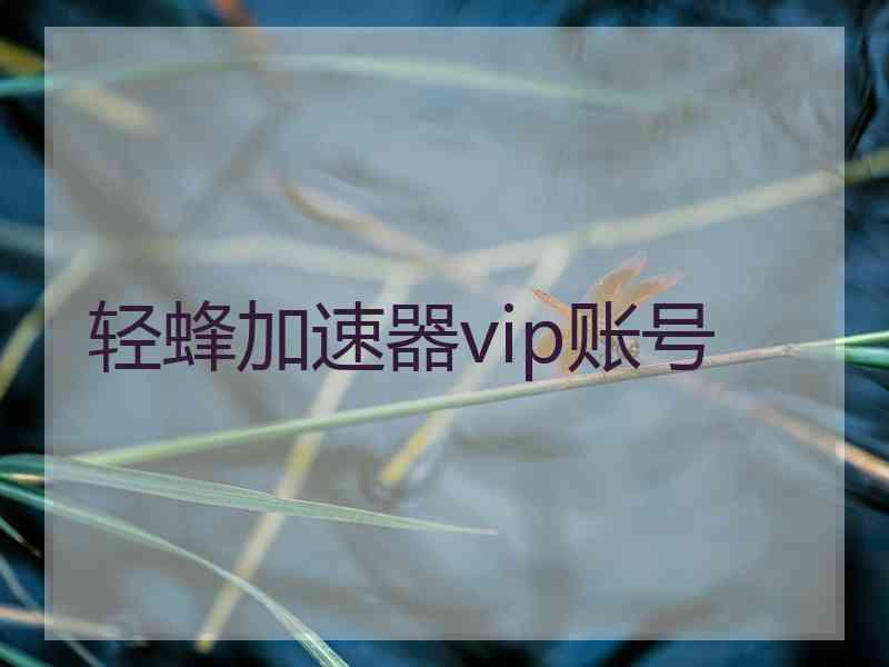 轻蜂加速器vip账号