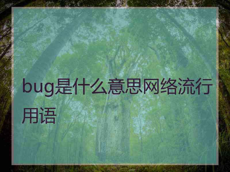 bug是什么意思网络流行用语