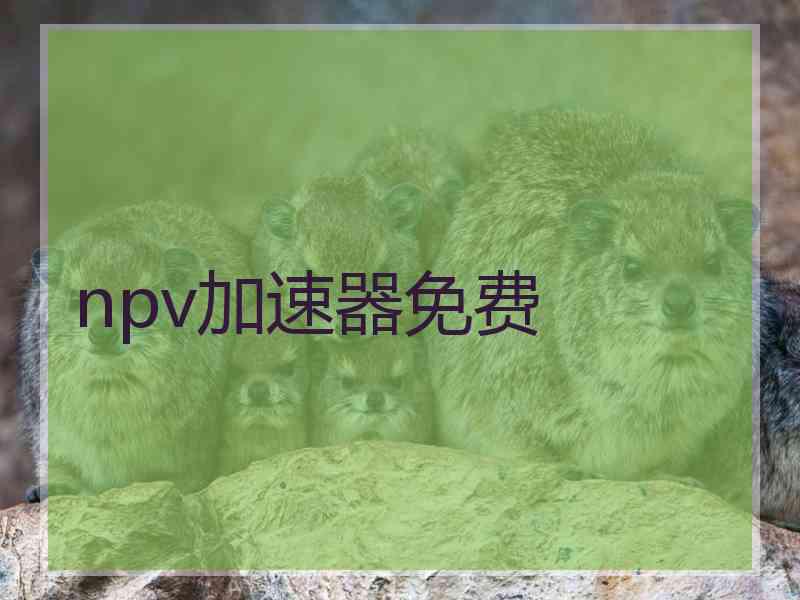 npv加速器免费