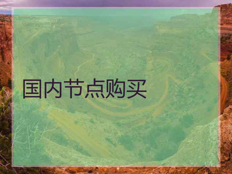 国内节点购买