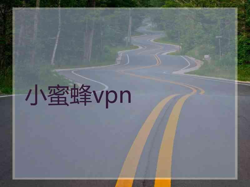 小蜜蜂vpn
