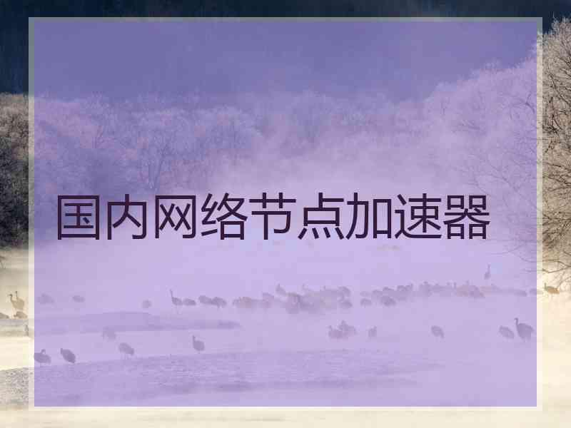 国内网络节点加速器