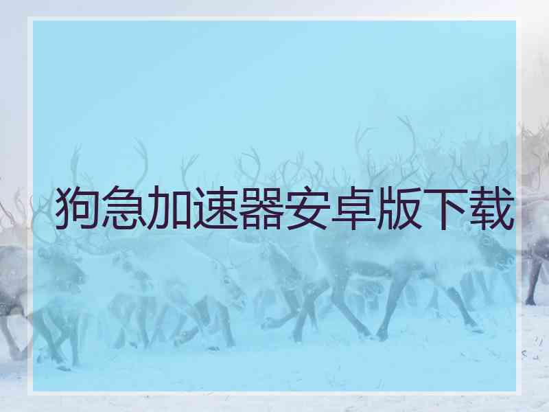 狗急加速器安卓版下载