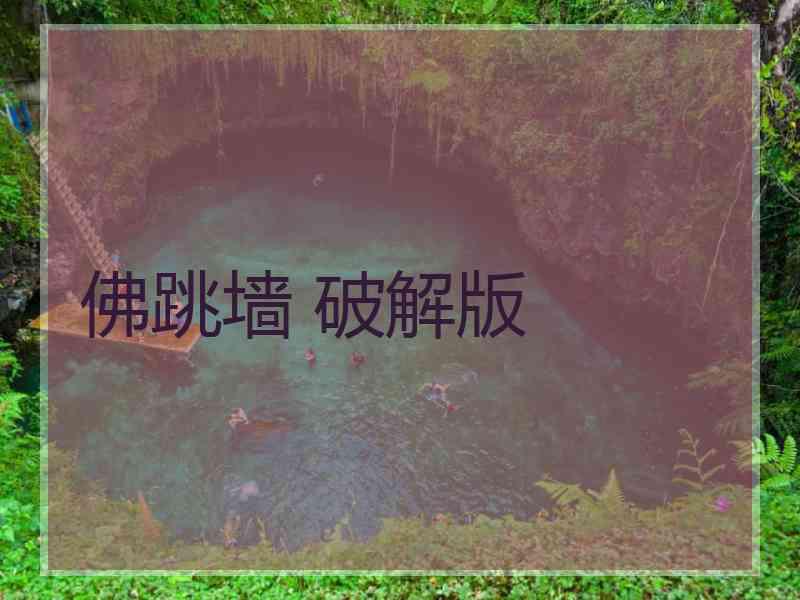 佛跳墙 破解版