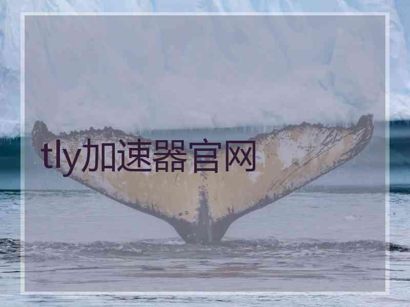 tly加速器官网