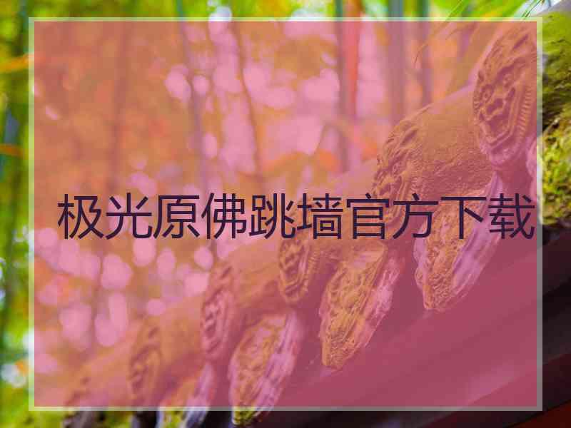 极光原佛跳墙官方下载