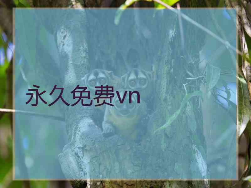 永久免费vn