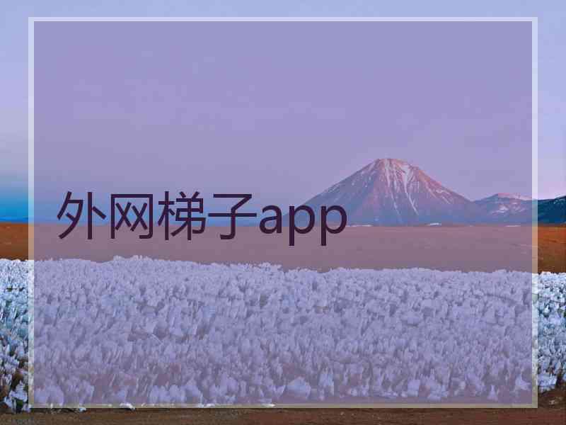外网梯子app