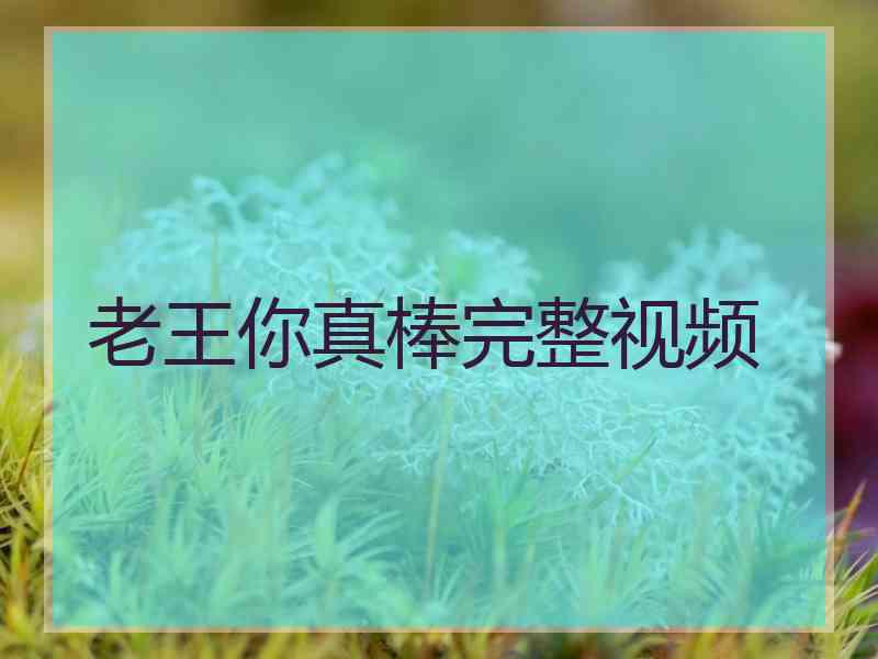 老王你真棒完整视频