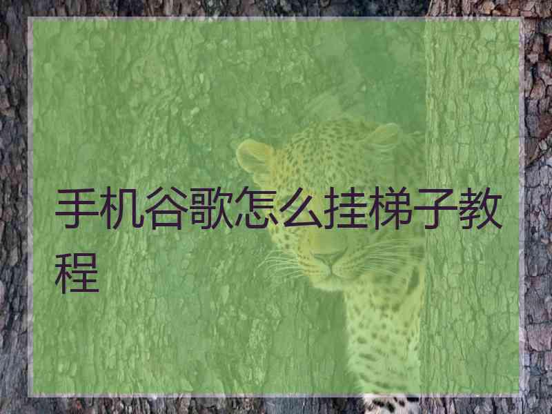 手机谷歌怎么挂梯子教程