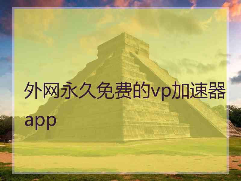 外网永久免费的vp加速器app