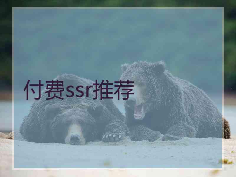 付费ssr推荐