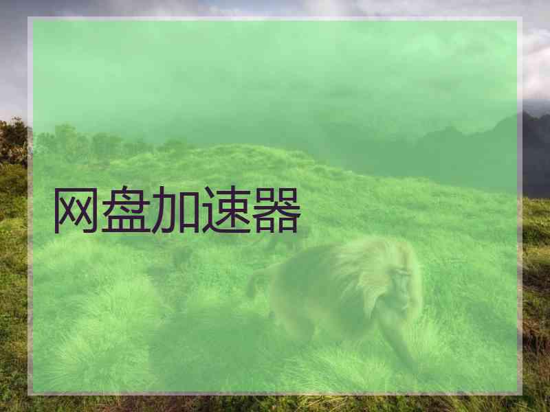 网盘加速器