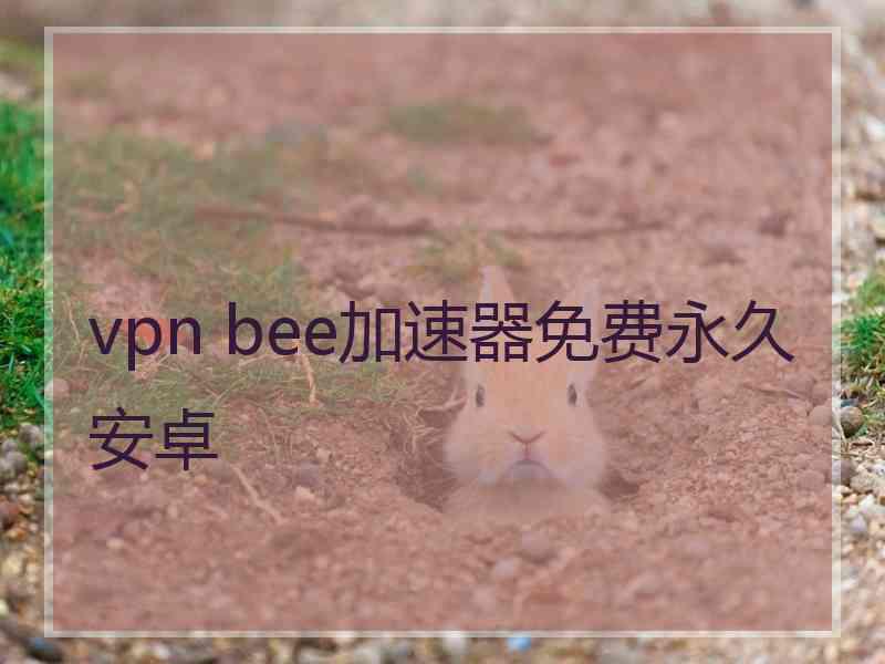 vpn bee加速器免费永久安卓